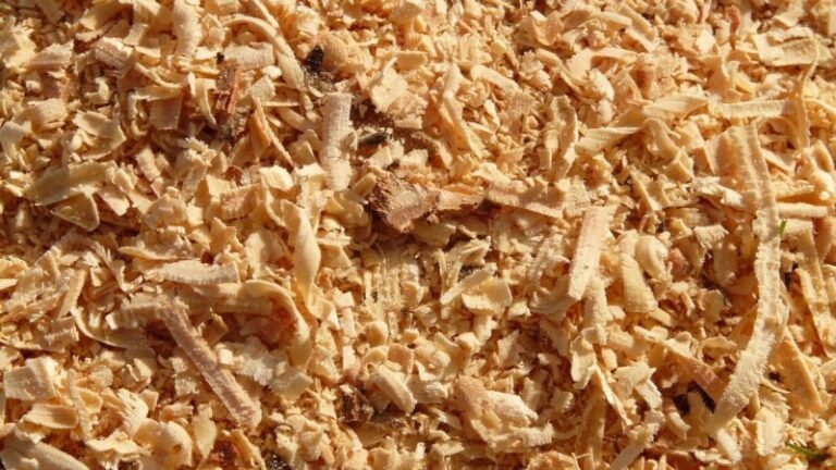 Stump Grinding Services